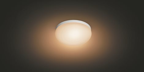 Hue WACA Flourish stropní LED svítidlo 1x32,5W 2250lm 2000-6500K RGB IP20 35,9cm bílá 8