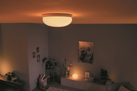 Hue WACA Flourish stropní LED svítidlo 1x32,5W 2250lm 2000-6500K RGB IP20 35,9cm bílá 11