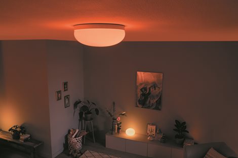 Hue WACA Flourish stropní LED svítidlo 1x32,5W 2250lm 2000-6500K RGB IP20 35,9cm bílá 13