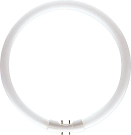 Kruhová zářivka MASTER TL5 Circular 40W/830 300mm 3300lm 3000K