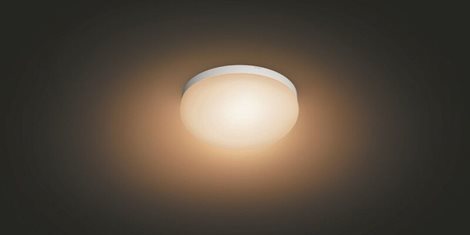 Hue WACA Flourish stropní LED svítidlo 1x32,5W 2250lm 2000-6500K RGB IP20 35,9cm bílá 41