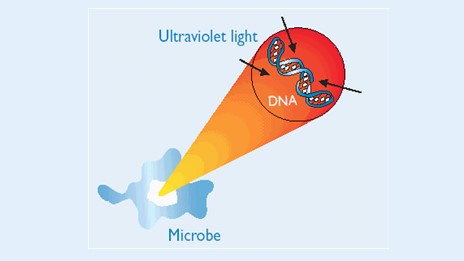 DNA-UVClight-(1).jpg